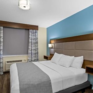 King Room Roll Shower Disability Access